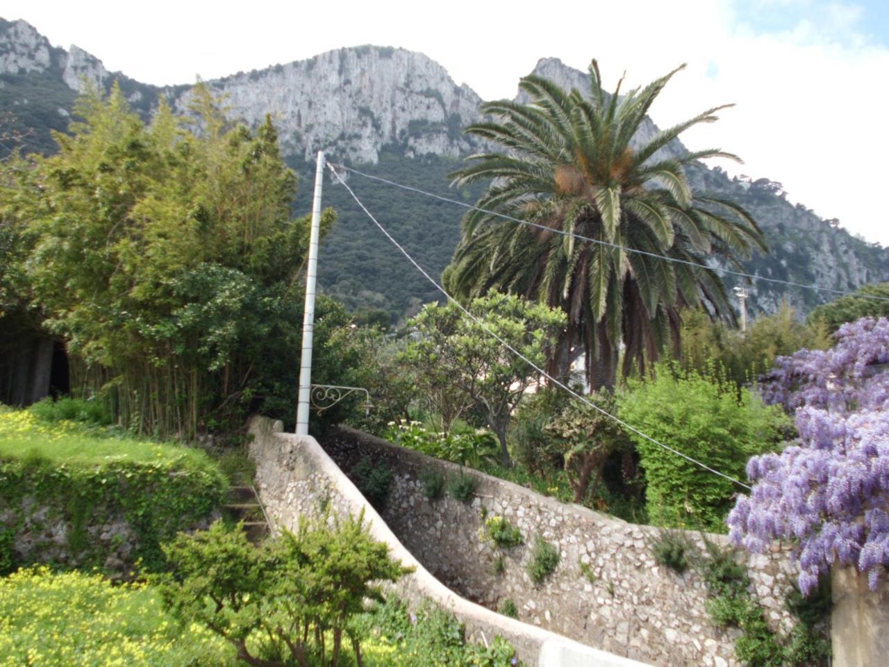 Capri Inn Εξωτερικό φωτογραφία
